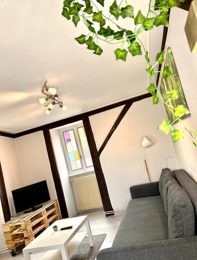Seppala Charmant Appartement Colmar Exterior foto