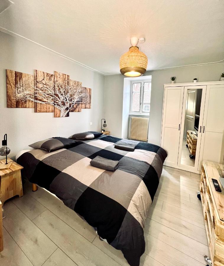 Seppala Charmant Appartement Colmar Exterior foto