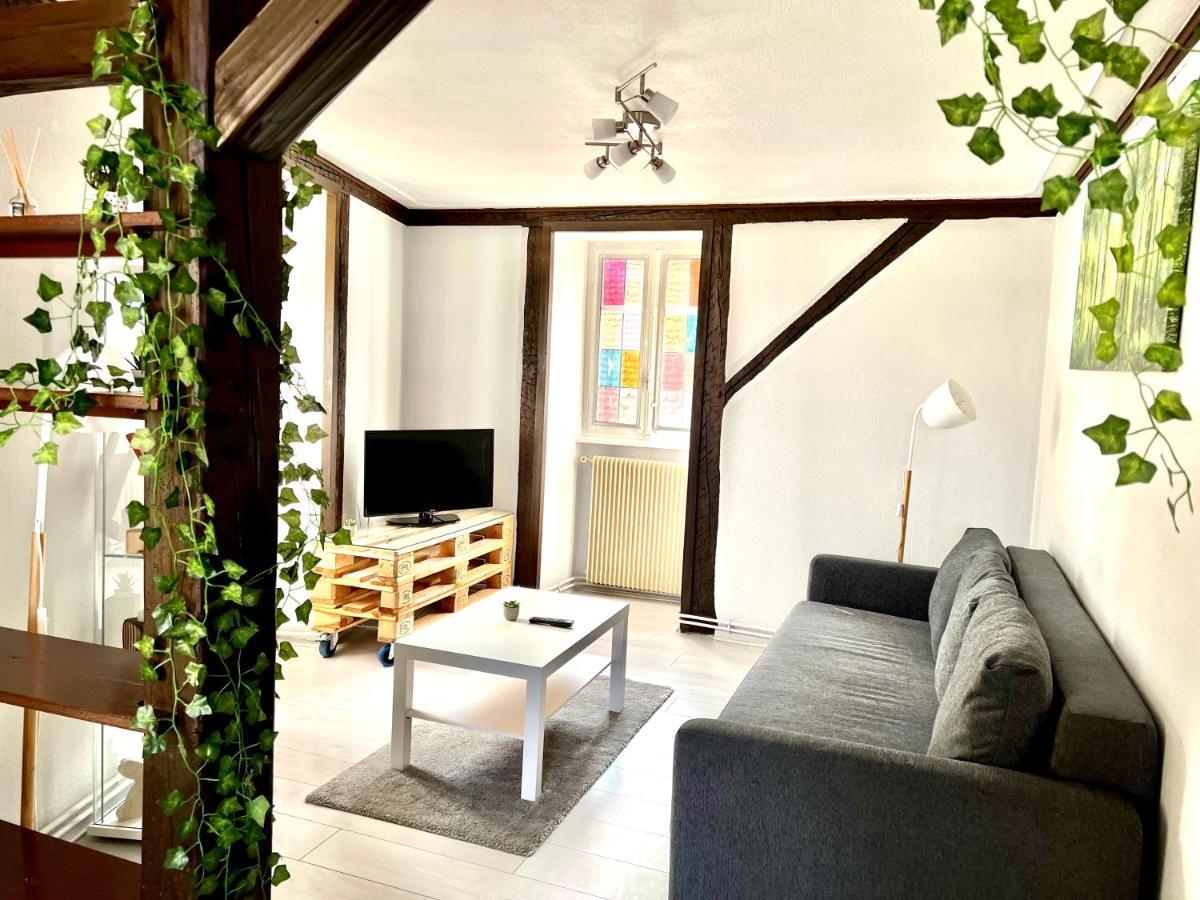 Seppala Charmant Appartement Colmar Exterior foto
