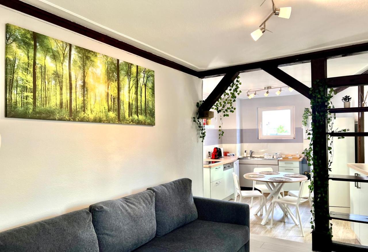Seppala Charmant Appartement Colmar Exterior foto